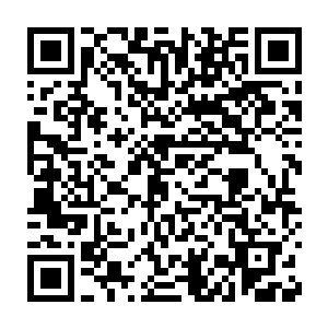 他如今只能期待血炎大陆的万魔窟没有因为这里的天地异变而损毁二维码生成