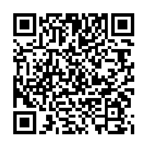 他如果在来的时候直接的抹杀杨天羽和杨风的话二维码生成