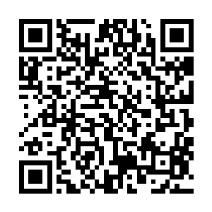 他妈妈给他买的玩具都让家里的阿姨送给了亲戚家的孩子二维码生成
