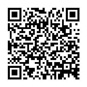 他妈的……怎么会有这种事情……这是假的吧……他妈的二维码生成