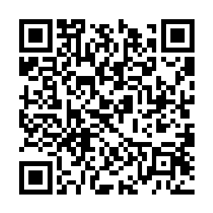 他妈的什么乱七八糟的像个哲学家……他环顾四周二维码生成