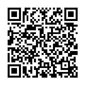 他学的这一套传承讲究的是将模型恒定在法器上二维码生成