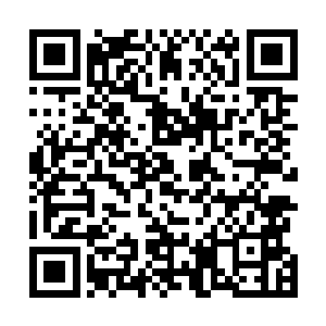 他实在想不到今日跟自己动手的竟是这等雄厚势力的首领二维码生成