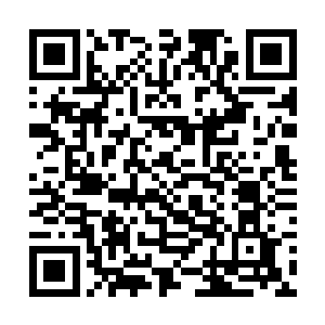 他实在是搞不懂自己这个室友脑子里到底在想些什么二维码生成