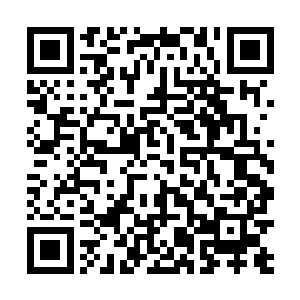 他实在是有些不太了解秦中林这么说的目的到底是什么二维码生成