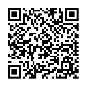 他实在是没有办法把杀死蛇蛊的人和眼前的这个小年轻联系起来二维码生成