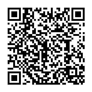 他实在是被刚才叶叮当激动的神色以及眉宇间的款款深情给打动了二维码生成