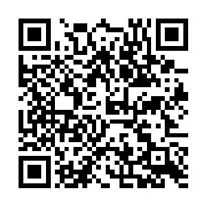 他实在有些搞不清楚这个家伙的脑袋到底是怎么长的二维码生成