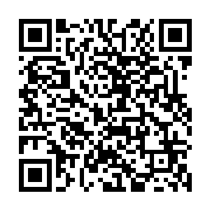 他实在没想到李川这么狠竟然借助大树硬吃了自己一拳二维码生成