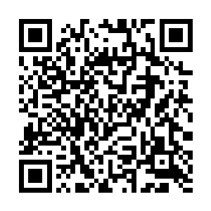 他实在没有信心冷血君能够承受住这惊天秘密的冲击二维码生成