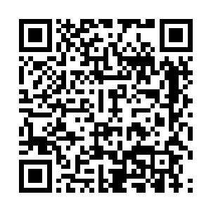 他实际上已经变成了一种和我们截然不同的生命形态二维码生成