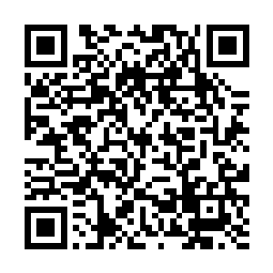 他害怕自己所做的这些努力到头来都只不过是一场空二维码生成
