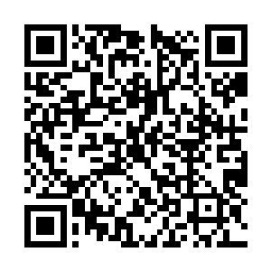 他对一些珍稀药材有非比寻常的感知力和辨识能力二维码生成