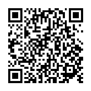 他对于市委书记段宜勇大力开发南城的决策是有看法的二维码生成