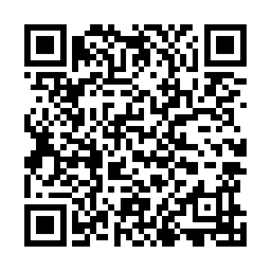 他对你这位拥有无极始境九重天的强者是没有半分的忌惮二维码生成