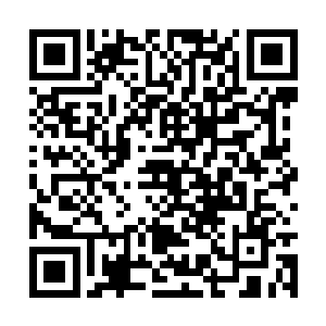 他对剑尘的实力认知仅仅在打败维纳炎的那一阶段二维码生成