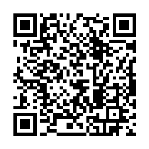 他对纳物世界的掌控被压制到只有十分之一的力量二维码生成