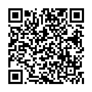 他对自己的第一门派掌教的身份还是相当得意的二维码生成