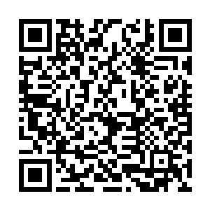 他对这支临时拼凑起来的队伍已然不抱任何希望了二维码生成