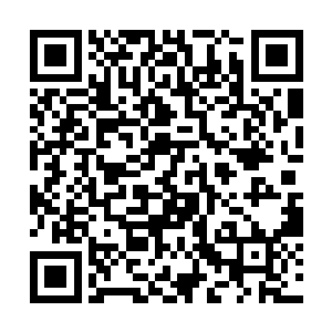 他将刚刚从李梦婕那里要来的石头递到了钟平的手中二维码生成