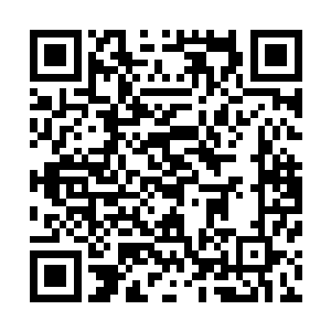 他将南华洲青鱼湖畔神剑山庄一百三十六口人全部斩成四段二维码生成