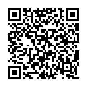 他将成为天使文明中有史以来的第一个人为的王二维码生成