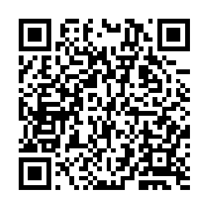 他将最忠诚的龙墓守卫者真正的提多玛斯召唤到自己身边二维码生成