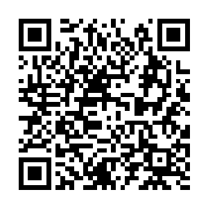 他将装有一千块仙石的储物装备放在了夏天的面前二维码生成