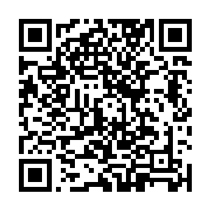 他将那些果实还回去也只是抱着不想惹麻烦的心态而已二维码生成
