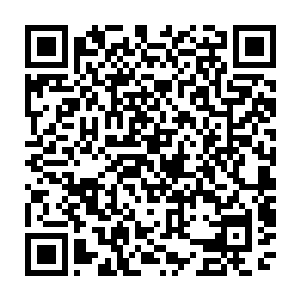 他将那棵刚才还宝贝的不得了的五十年的三叶草在自己的储物袋里面一放二维码生成