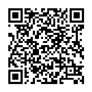 他将驻守天古岛的几名金丹后期修士也统统带来了二维码生成