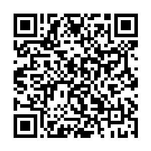 他就一直和母亲收养的干女儿花疏影两个人相依为命二维码生成