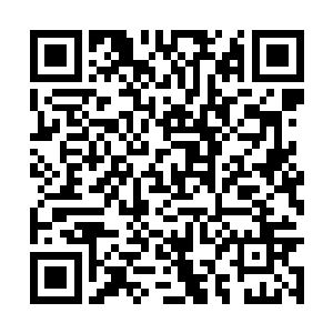 他就一直在想石爱国在蒋文山时代是怎么熬过来的二维码生成