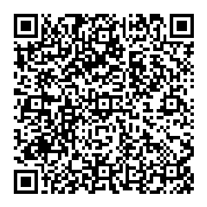 他就为云达不莱梅首开纪录了难以置信赛前大家都没想到这场比赛会这么快进球我们赛前还在分析这将是一场势均力敌的比赛二维码生成