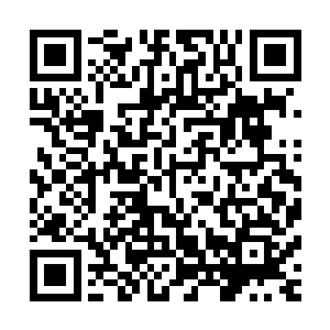他就偶然发现这个被海瑟薇赠送给自己的礼物已经孕育成功了二维码生成
