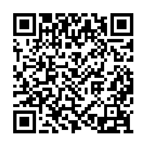 他就像遛弯儿似的返回了队友们所在的安全地带二维码生成