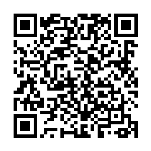 他就可以从其他地方的蝴蝶阵來催到整体的七重蝴蝶阵二维码生成
