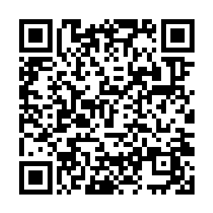 他就可以走出一条与有角族炼骨术相通却不同的道路二维码生成