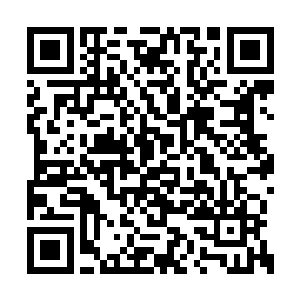 他就和自己一样无意中得到魂修的修炼方法的吧二维码生成