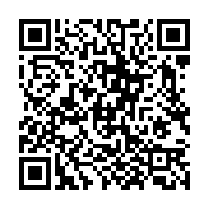 他就将所有与叶凡有关系的人都信息都调查了一清二楚二维码生成