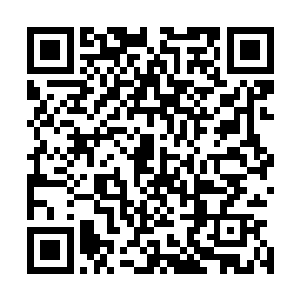他就开始扯严一凌紧紧攥着的遮羞布那层双叠着并不厚的纱二维码生成