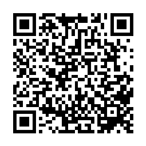 他就想试探一下是不是可以用元灵之力去控制这些蔓藤二维码生成