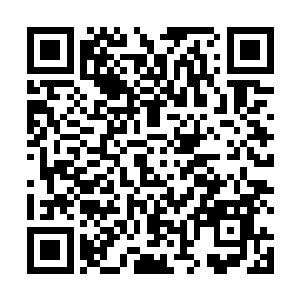 他就感觉到这小子其实是有点这种不畏惧场面的大心脏二维码生成