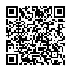他就愿意付出任何代价这句话到底有几成是真的二维码生成