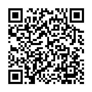 他就把自己从多元宇宙各地搜集过来的宝物或者稀罕物品二维码生成