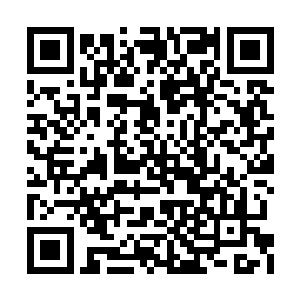 他就掌握了对于这片土地上任何生物的生死大权二维码生成