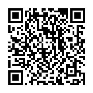 他就是以党玉的名义投资了青山公司的前身农业合作社二维码生成