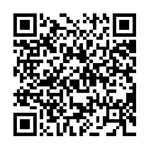 他就是唐老的那个孙女婿……难怪我总觉得那么眼熟了二维码生成