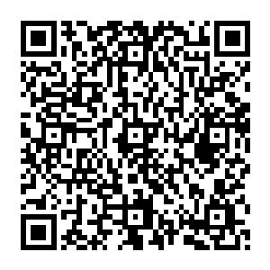 他就是在闻人牧月面前没办法施展出来这种骄傲――因为他实在想不到自己有骄傲的理由二维码生成