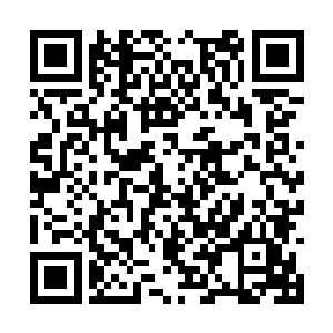 他就是每天看着年欣然和雷先生两人在不断地争执二维码生成